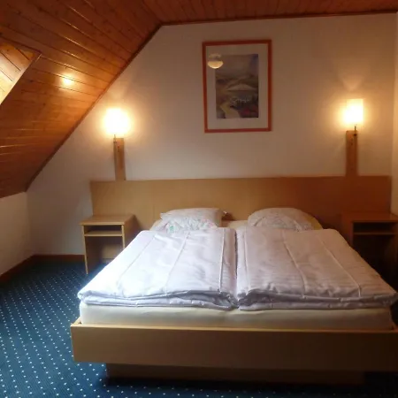 胡尔曼尚布勒酒店 Dambach