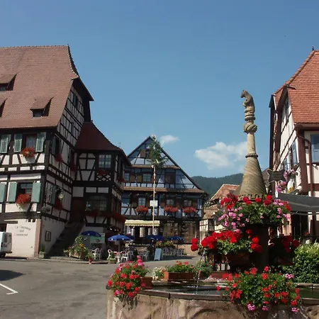 胡尔曼尚布勒酒店 3* Dambach