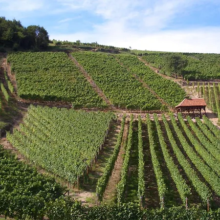 胡尔曼尚布勒酒店 住宿加早餐酒店 3*