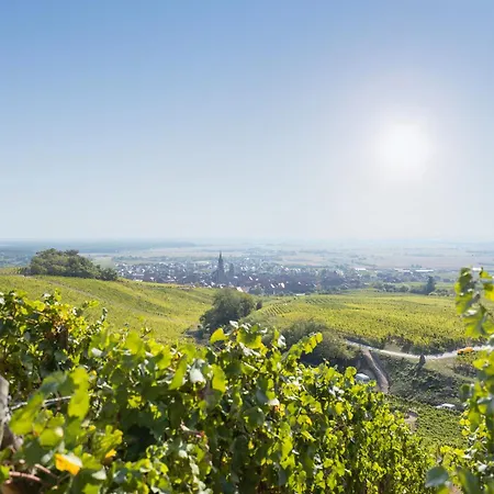 住宿加早餐酒店 胡尔曼尚布勒酒店