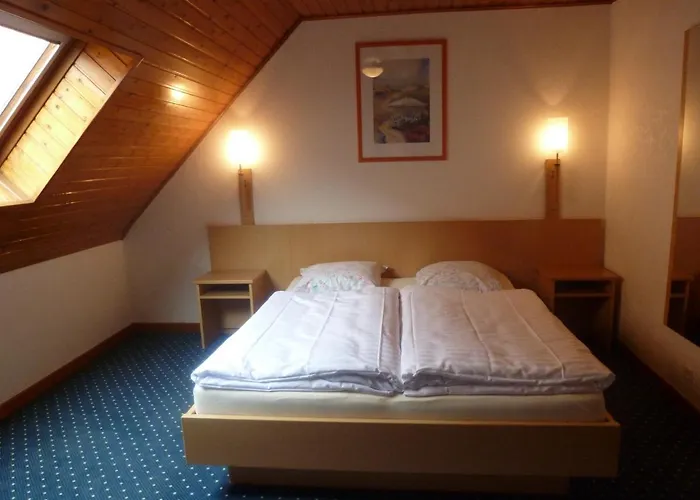 胡尔曼尚布勒酒店 Dambach